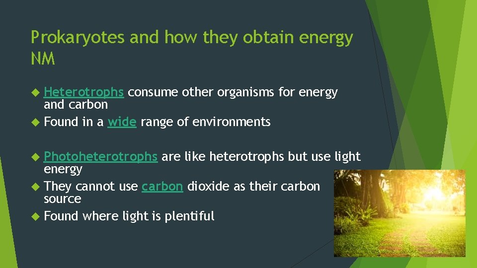 Prokaryotes and how they obtain energy NM Heterotrophs consume other organisms for energy and