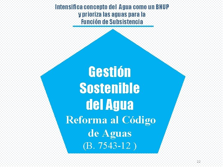 Intensifica concepto del Agua como un BNUP y prioriza las aguas para la Función
