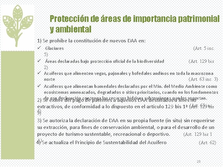 Protección de áreas de importancia patrimonial y ambiental 1) Se prohíbe la constitución de