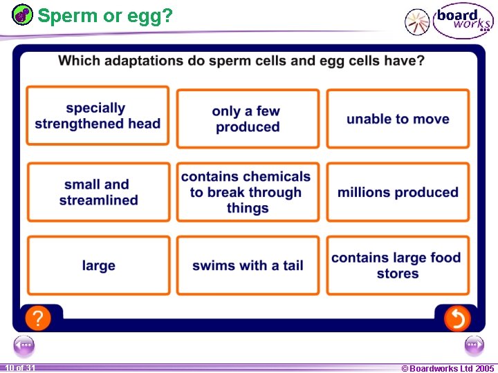 Sperm or egg? 1 10 ofof 20 31 © Boardworks Ltd 2005 2004 