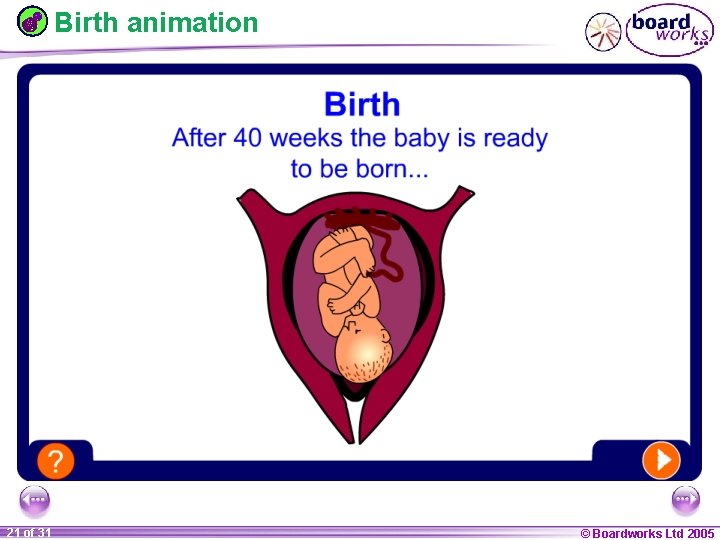 Birth animation 1 21 ofof 20 31 © Boardworks Ltd 2005 2004 