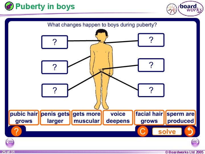 Puberty in boys 1 25 ofof 20 31 © Boardworks Ltd 2005 2004 