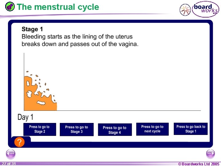 The menstrual cycle 1 27 ofof 20 31 © Boardworks Ltd 2005 2004 