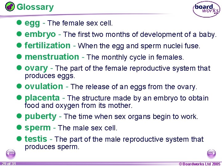 Glossary l egg - The female sex cell. l embryo - The first two