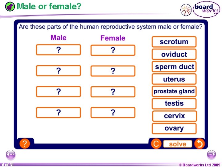Male or female? 1 20 6 of 31 © Boardworks Ltd 2005 2004 