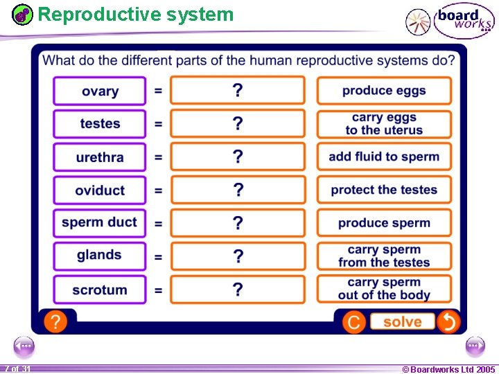 Reproductive system 1 20 7 of 31 © Boardworks Ltd 2005 2004 