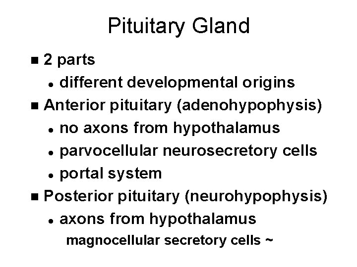 Pituitary Gland 2 parts l different developmental origins n Anterior pituitary (adenohypophysis) l no