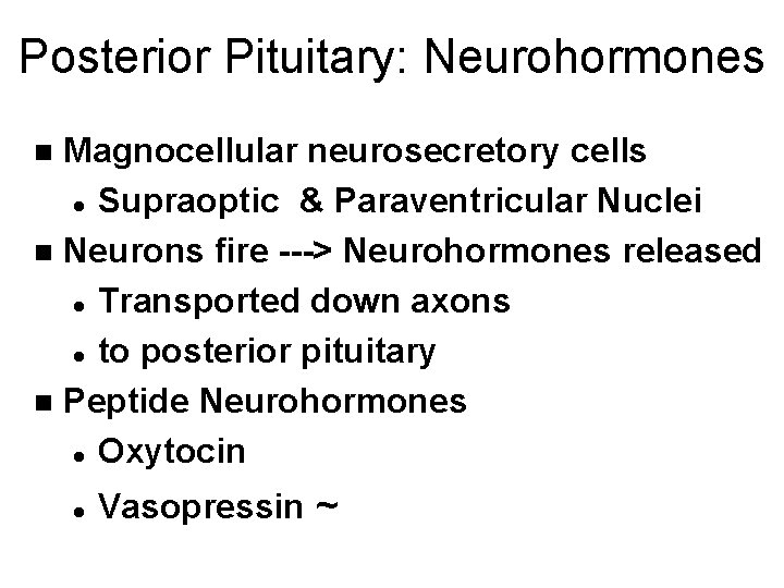 Posterior Pituitary: Neurohormones Magnocellular neurosecretory cells l Supraoptic & Paraventricular Nuclei n Neurons fire