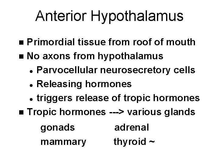Anterior Hypothalamus Primordial tissue from roof of mouth n No axons from hypothalamus l