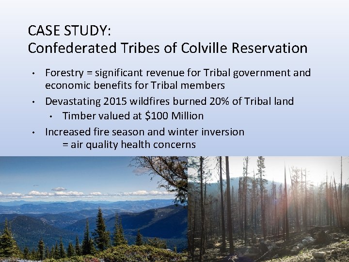 CASE STUDY: Confederated Tribes of Colville Reservation • • • Forestry = significant revenue