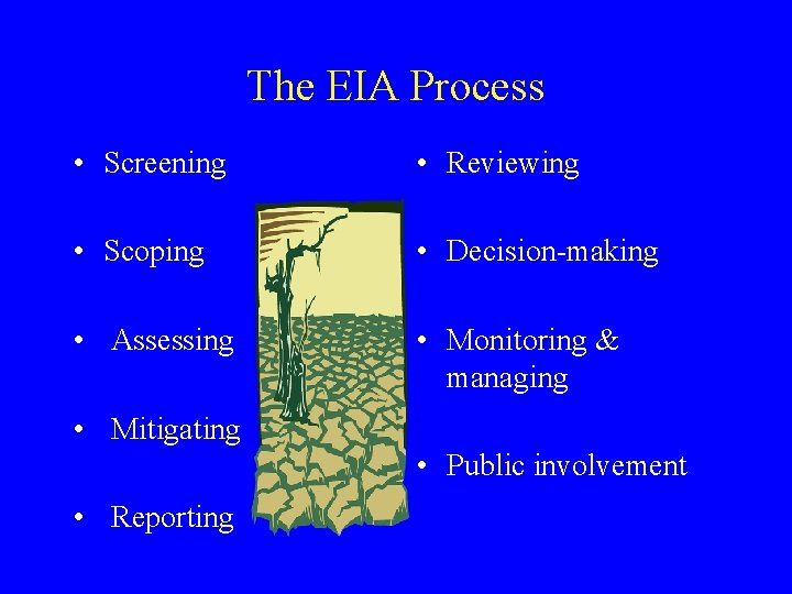 The EIA Process • Screening • Reviewing • Scoping • Decision-making • Assessing •