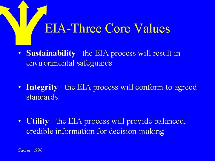 EIA-Three Core Values • Sustainability - the EIA process will result in environmental safeguards