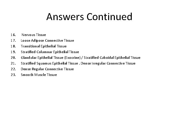 Answers Continued 16. 17. 18. 19. 20. 21. 22. 23. Nervous Tissue Loose Adipose