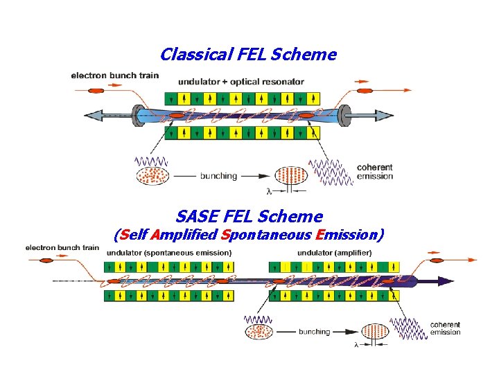 Classical FEL Scheme SASE FEL Scheme (Self Amplified Spontaneous Emission) 