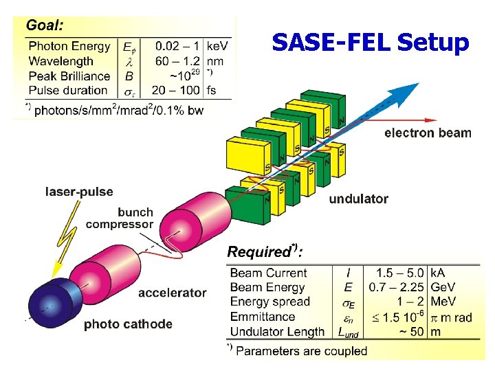 SASE-FEL Setup 