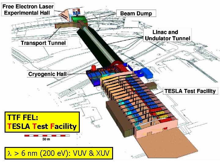 TTF FEL: TESLA Test Facility > 6 nm (200 e. V): VUV & XUV