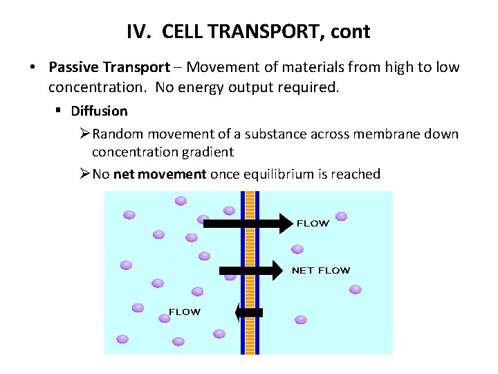 IV. CELL TRANSPORT, cont • Passive Transport – Movement of materials from high to