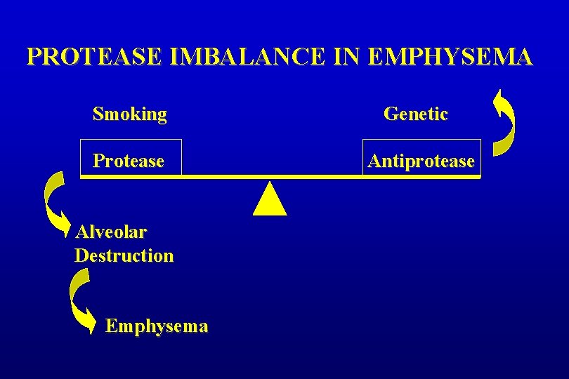 PROTEASE IMBALANCE IN EMPHYSEMA Smoking Genetic Protease Antiprotease Alveolar Destruction Emphysema 