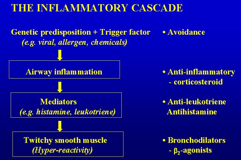 THE INFLAMMATORY CASCADE Genetic predisposition + Trigger factor (e. g. viral, allergen, chemicals) Airway