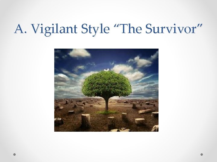 A. Vigilant Style “The Survivor” 