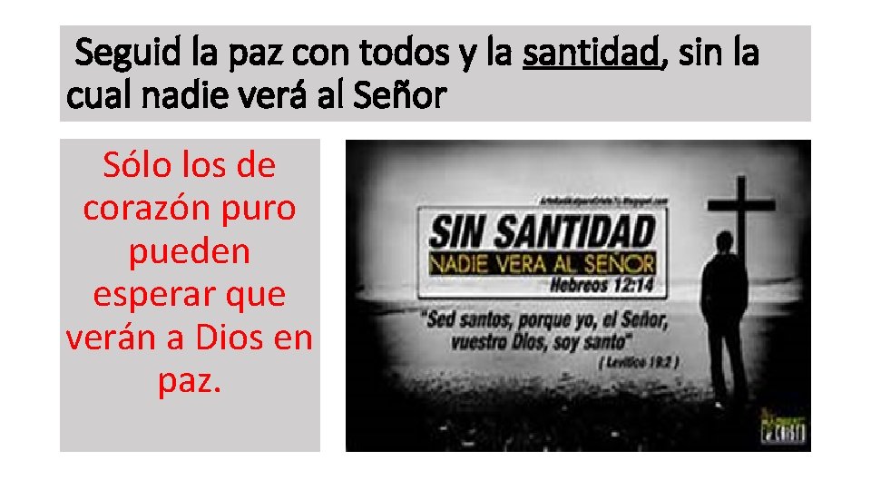 Seguid la paz con todos y la santidad, sin la cual nadie verá al Seguid la paz con todos y la santidad, sin la cual nadie verá al