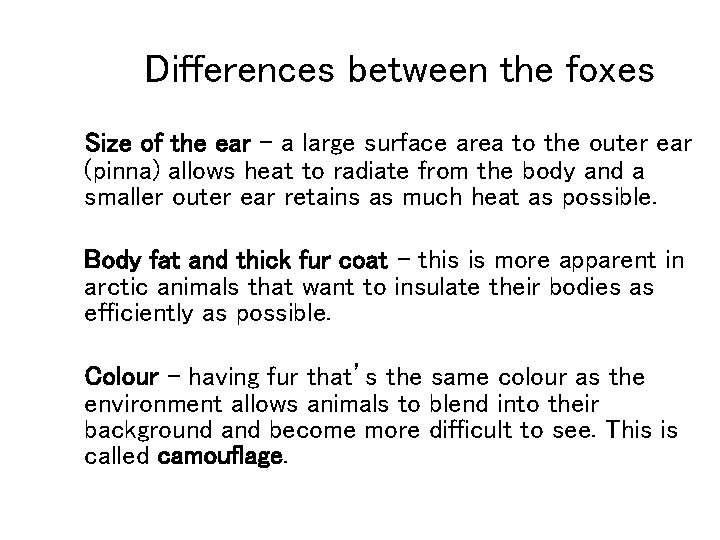 Differences between the foxes Size of the ear – a large surface area to