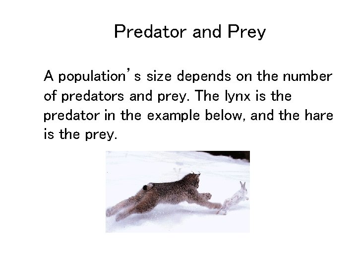 Predator and Prey A population’s size depends on the number of predators and prey.