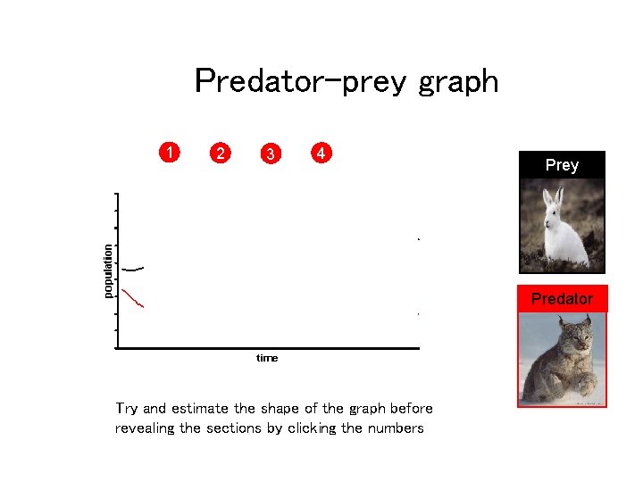 Predator-prey graph 1 2 3 4 Prey Predator Try and estimate the shape of