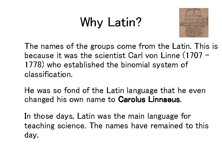 Why Latin? The names of the groups come from the Latin. This is because