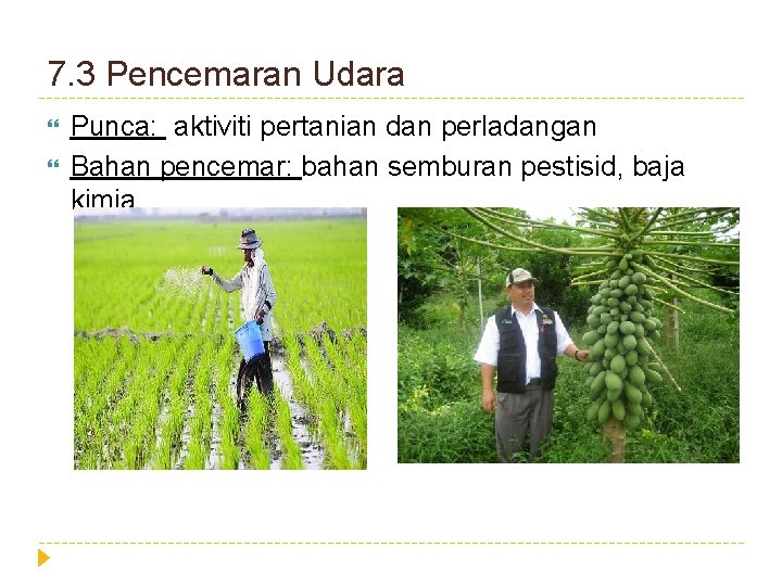 7. 3 Pencemaran Udara Punca: aktiviti pertanian dan perladangan Bahan pencemar: bahan semburan pestisid,