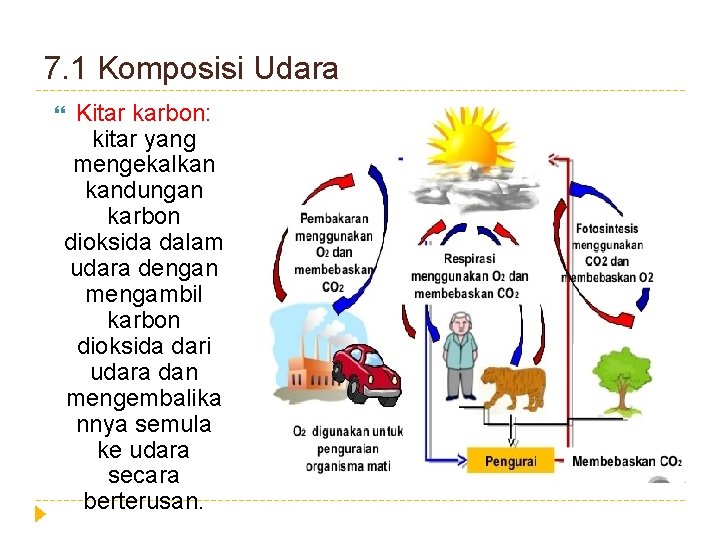 7. 1 Komposisi Udara Kitar karbon: kitar yang mengekalkan kandungan karbon dioksida dalam udara