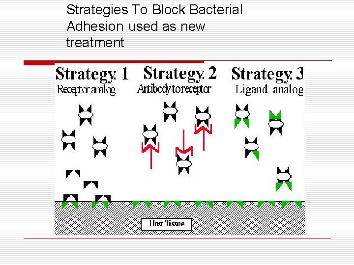 Strategies To Block Bacterial Adhesion used as new treatment 