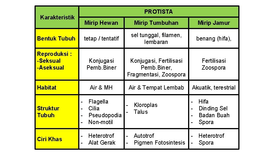 PROTISTA Karakteristik Bentuk Tubuh Reproduksi : -Seksual -Aseksual Habitat Mirip Hewan Mirip Tumbuhan Mirip