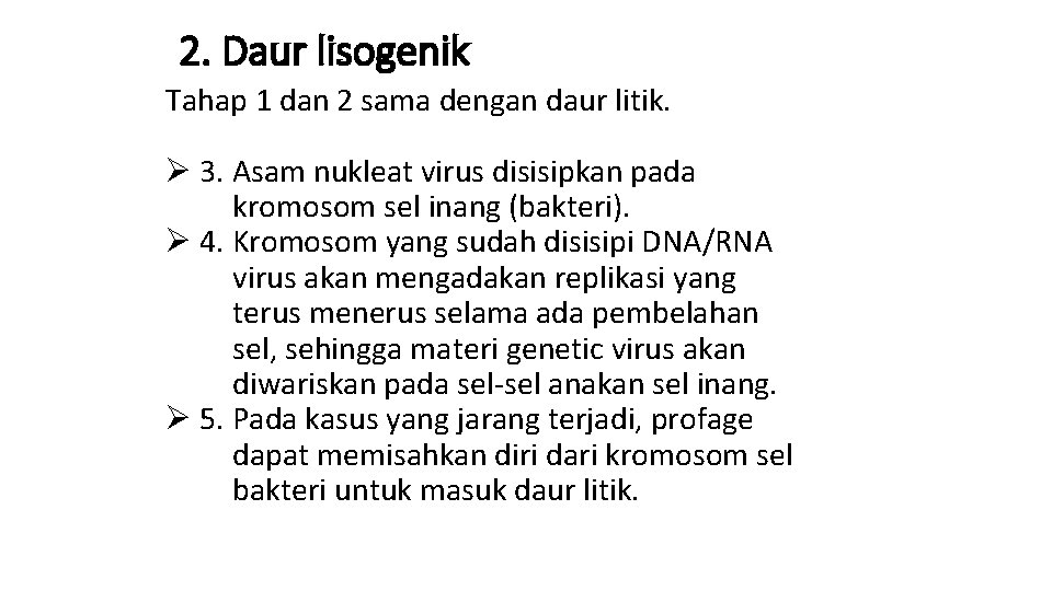 2. Daur lisogenik Tahap 1 dan 2 sama dengan daur litik. Ø 3. Asam