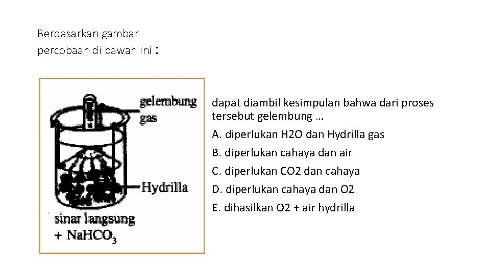 Berdasarkan gambar percobaan di bawah ini : dapat diambil kesimpulan bahwa dari proses tersebut