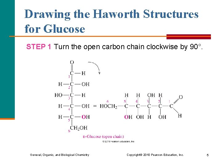 Drawing the Haworth Structures for Glucose STEP 1 Turn the open carbon chain clockwise Drawing the Haworth Structures for Glucose STEP 1 Turn the open carbon chain clockwise