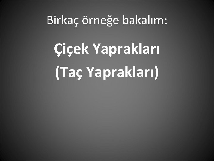 Birkaç örneğe bakalım: Çiçek Yaprakları (Taç Yaprakları) 