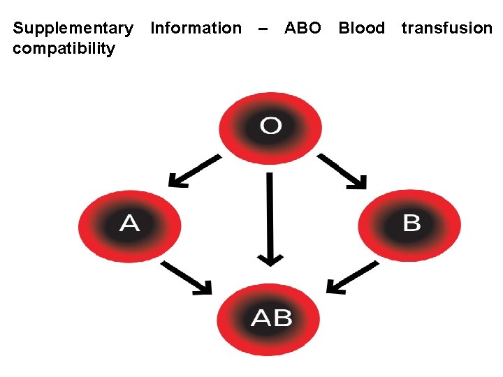 Supplementary Information – ABO Blood transfusion compatibility 