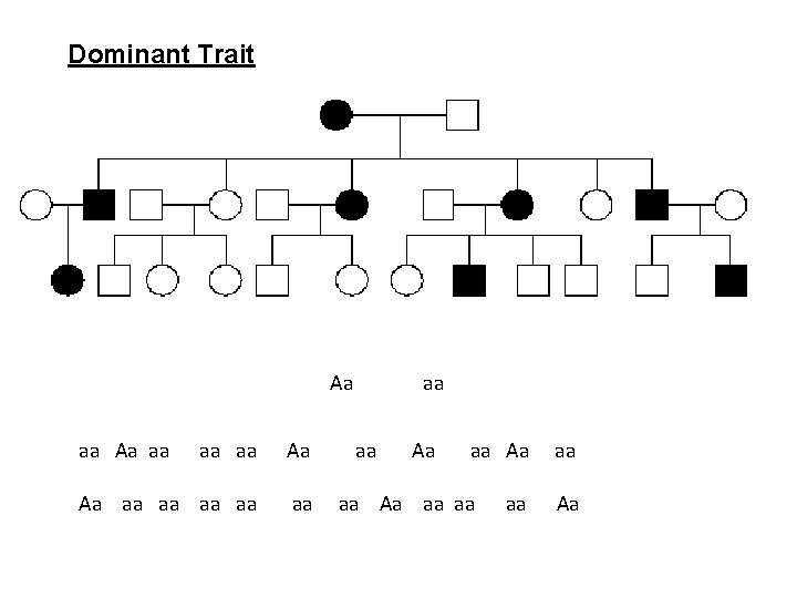 Dominant Trait Aa aa aa aa Aa Aa aa aa Aa aa aa Aa