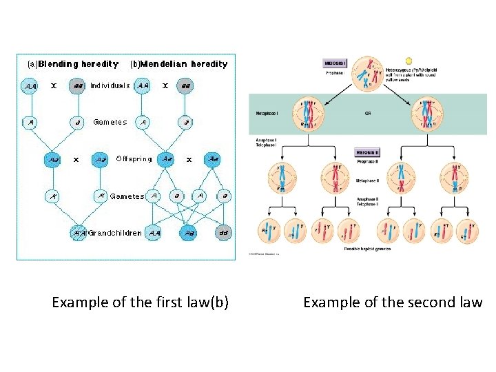 Example of the first law(b) Example of the second law 