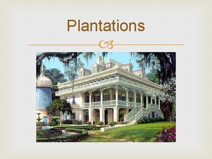 Plantations 