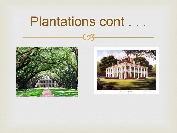 Plantations cont. . . 