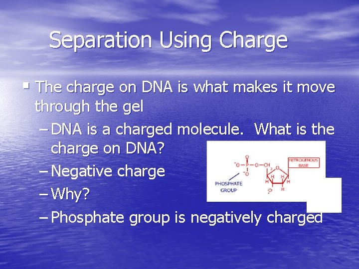 Separation Using Charge § The charge on DNA is what makes it move through