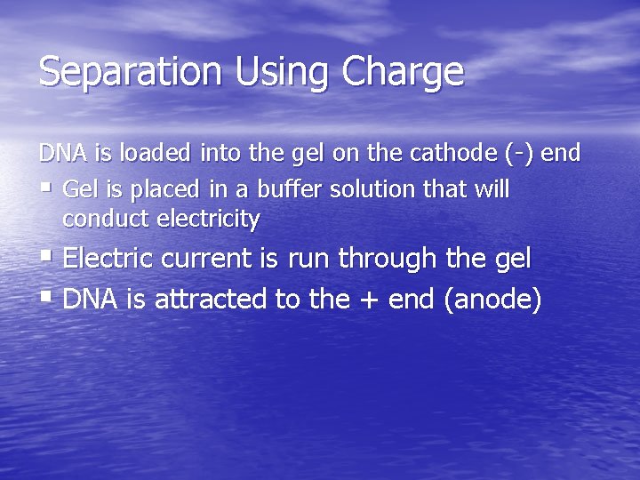 Separation Using Charge DNA is loaded into the gel on the cathode (-) end