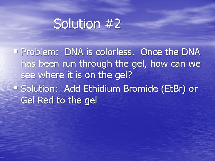 Solution #2 § Problem: DNA is colorless. Once the DNA has been run through