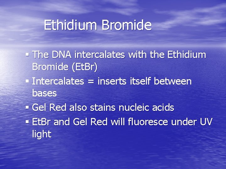 Ethidium Bromide § The DNA intercalates with the Ethidium Bromide (Et. Br) § Intercalates