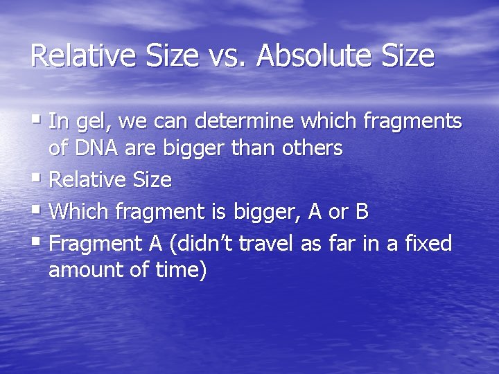 Relative Size vs. Absolute Size § In gel, we can determine which fragments of