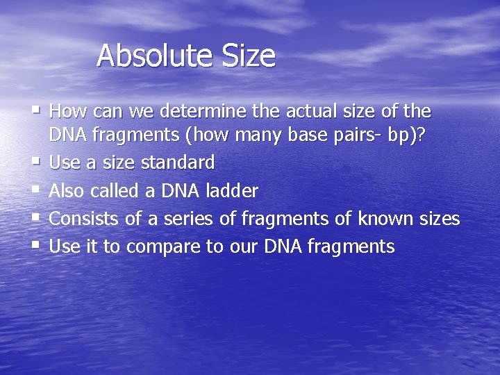 Absolute Size § How can we determine the actual size of the § §