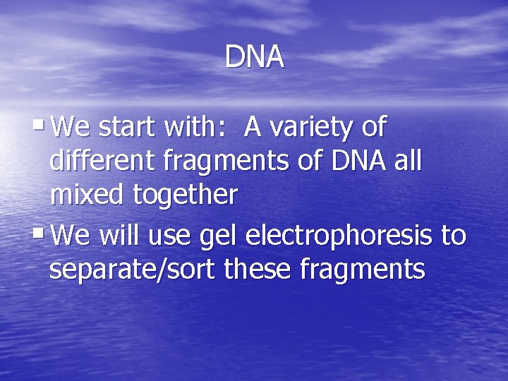 DNA § We start with: A variety of different fragments of DNA all mixed