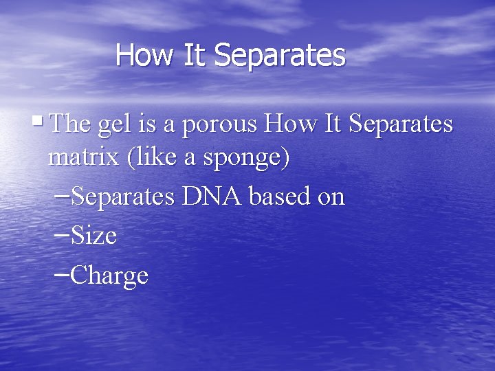How It Separates § The gel is a porous How It Separates matrix (like